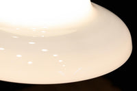 Lamp Shades DC9746