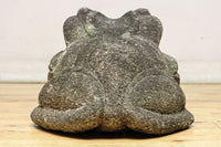 突き出た目が印象的なカエルの石像 DC9778