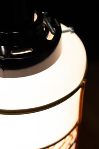 Lamp Shades DC9784