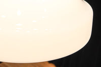 Lamp Shades DC9830ab