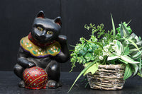 あどけない表情が可愛らしい黒招き猫 DC9961