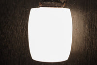 Lamp Shades DF1071