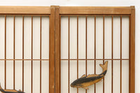 鯉が優雅に漂う眺めが魅力のスリガラス入り書院セット EZ2107 在庫4枚1組