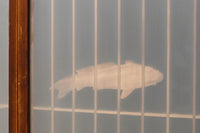 鯉が優雅に漂う眺めが魅力のスリガラス入り書院セット EZ2107 在庫4枚1組