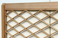 Small size Diamond lattice transom EZ2110