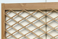 Small size Diamond lattice transom EZ2110