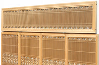 Ranma and Shoin EZ2472