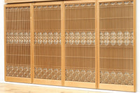 Ranma and Shoin EZ2472