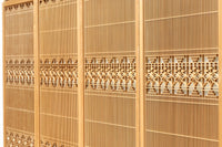 Ranma and Shoin EZ2472