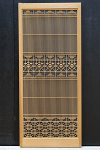 Ranma and Shoin EZ2472