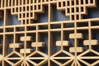 Ranma and Shoin EZ2472