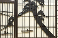 Ranma・shoin set EZ2488