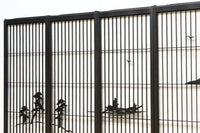 ゆったりとした情景を描いた上品な書院セット EZ2489 在庫4枚1組