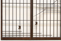 美しい富士の姿を描いた書院セット EZ2490 在庫4枚1組