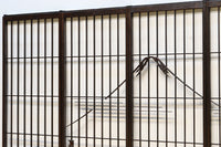 美しい富士の姿を描いた書院セット EZ2490 在庫4枚1組