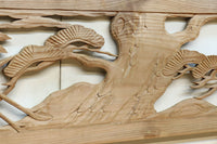 Ranma material EZ2548