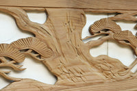 Ranma material EZ2548