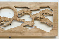 Ranma material EZ2548