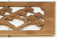 Ranma material EZ2549