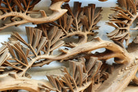 非公開 貫禄ある松の木を丁寧に彫り描いた深彫り彫刻欄間 EZ2565ab 在庫(a:1 b:1)枚