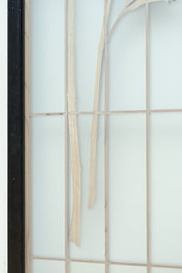 Ranma shoin set EZ2577