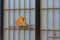 Ranma shoin set EZ2577