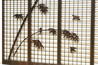 Ranma shoin set EZ2578