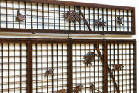 Ranma shoin set EZ2578