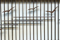 カモメが飛ぶ風情ある絵柄を描いた小型欄間 EZ2587 在庫1枚