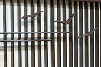 カモメが飛ぶ風情ある絵柄を描いた小型欄間 EZ2587 在庫1枚