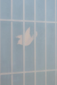 古色を帯びた風情溢れる竹雀の書院セット EZ2612 在庫3枚一組