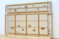 Ranma & Shoin set EZ2714