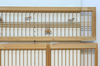 Ranma & Shoin set EZ2714