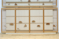 Ranma & Shoin set EZ2714