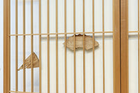 Ranma & Shoin set EZ2714