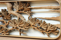 Carved ranma EZ2729ab