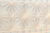 Small carved Ranma with glass EZ2781ab