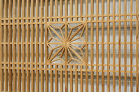 Tateshige Ranma EZ2784ab