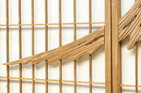 Ranma and shoin set EZ2849