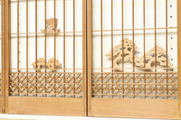 Ranma and shoin set EZ2849