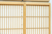 Ranma and Shoin Set EZ2870