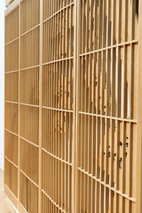 Ranma and Shoin Set EZ2870