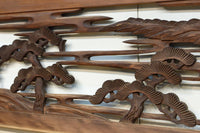 Ranma material EZ2873