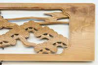 Ranma material EZ2876