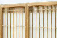 Shoin EZ2906