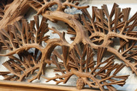 見事な枝ぶりの松と飛翔する鶴の美しい姿を描いた彫刻欄間 EZ2937 在庫1枚