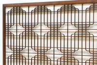 Antique material EZ2947