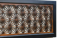 Ranma EZ2969