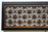 Ranma EZ2969