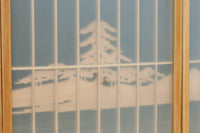 Ranma&Shoin Set EZ2970